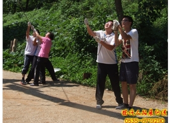 龙口南山国开银行5